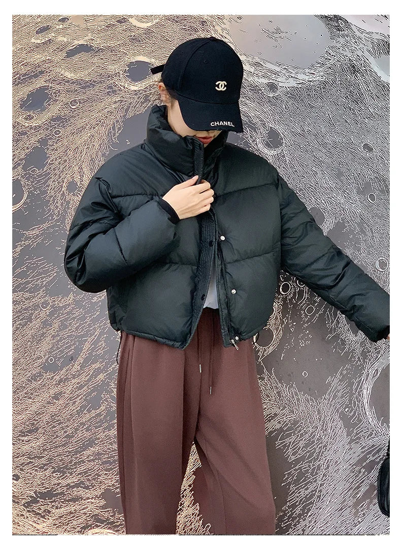 Women Winter Cropped Jacket – Warm Cotton-Padded Puffer Coat