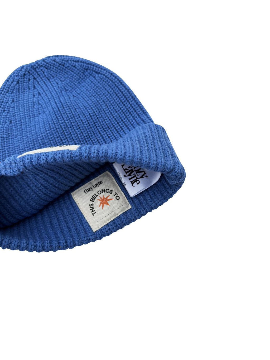 Feeling Cozy Blue Knitted Beanie